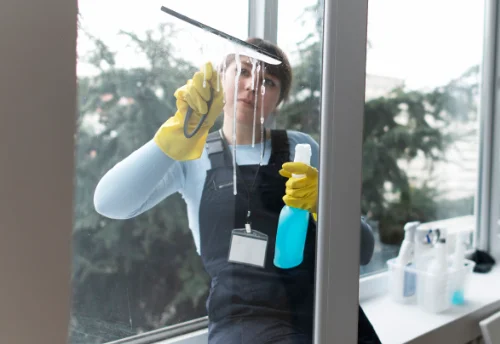 Nettoyage de vitres intérieures et extérieures à Saint-Ellier-du-Maine